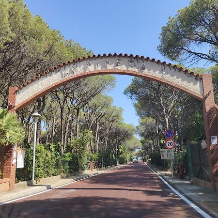 Villino Sunshine Villa Санта Маргерита ди Пула Екстериор снимка